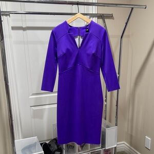 Chic Long Sleeve Purple Dress
